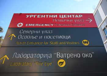 Užas na Voždovcu: Žena napadnuta od strane svojih pasa, zadobila teške povrede!