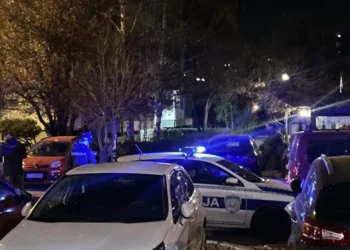 Prvi snimak sa mesta pucnjave u Zemunu: Policija pretražuje okolinu restorana