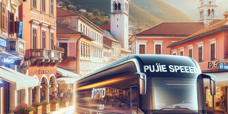 ZORICA PUŠKIĆ PR AUTOPREVOZNIČKA RADNJA PUŠKIĆ SPEED PRIJEPOLJE