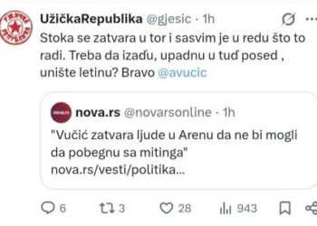 Goran Ješić i Biljana Lukić uvredama napali građane u Areni