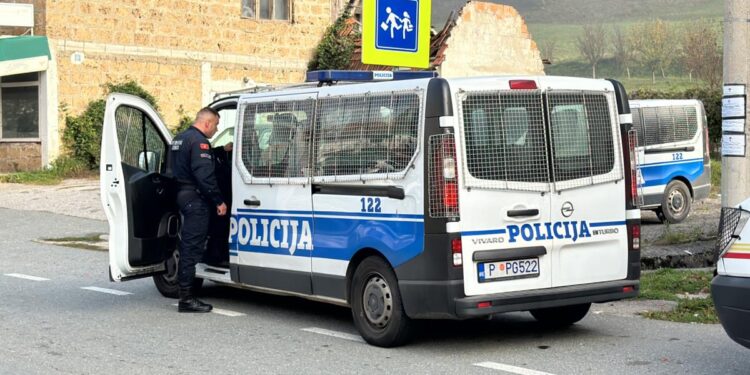 Podgoričaninu (42) pritvor zbog posedovanja pornografskih fotografija dece!