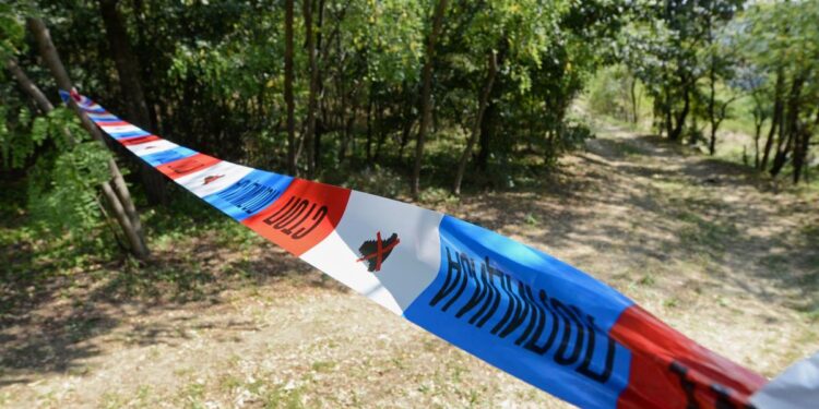 Rasvetljeno ubistvo u Zrenjaninu: Dvojica uhapšena