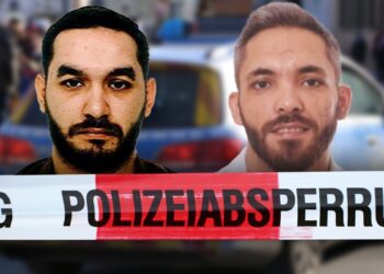 Braća Dragutinović pljačkala bogataše iz Beča, policija širom Evrope u potrazi!