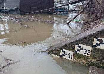 Vodostaj Save kod Šapca dostigao nivo iznad granice redovne odbrane od poplava