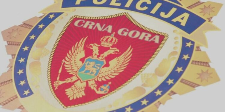 Pljevlja: Maloljetnik napao i teško povrijedio starijeg sugrađanina u lokalu 1 Pljevljaku zaplenjena municija, policija privela osumnjičenog