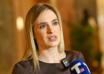 Milica Đurđević Stamenkovski: Zloupotreba univerzitetske autonomije od strane Vladana Đokića