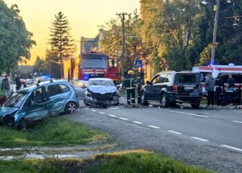 Teška saobraćajka u Zmajevu: Pet automobila u sudaru, scene devastacije!