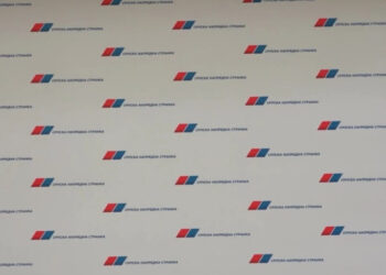 SNS Zemun: Naši aktivisti napadnuti na dva štanda, jedna aktivistkinja povređena