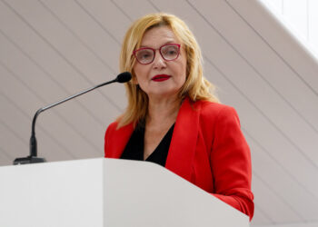 Verica Jovanović: Javno zdravlje obuhvata širok obim rada kada je reč o zdravstvenoj zaštiti