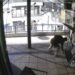 Procurio snimak paljenja lokala: Osumnjičeni tvrdi da je delovao zbog trudne devojke (VIDEO) 4 Procurio snimak paljenja lokala: Osumnjičeni tvrdi da je delovao zbog trudne devojke (VIDEO)