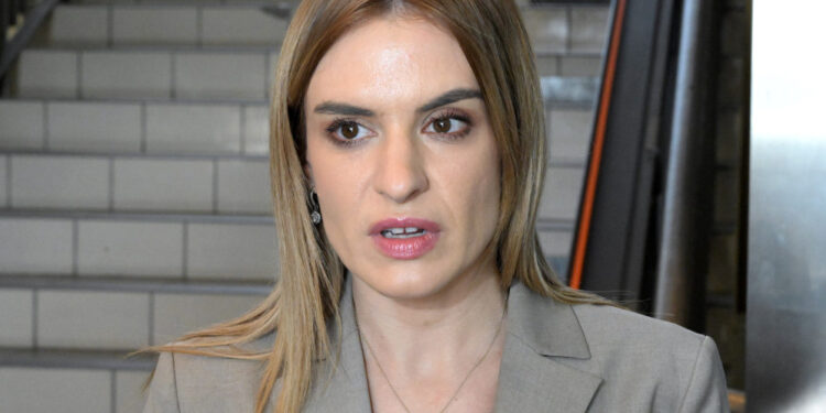 Đurđević Stamenkovski: Uskoro pred poslanicima predlog zakona "Roditelj-negovatelj" 1 Đurđević Stamenkovski: Uskoro pred poslanicima predlog zakona „Roditelj-negovatelj“