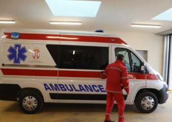 Herojski čin na kupalištu kod Apatina: Nebojša i Stefan spasili dečaka od utapanja!