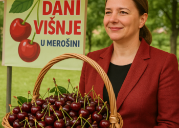 Ministarka Macura na manifestaciji „Dani višnje“ u Merošini