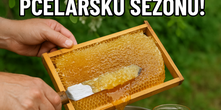 Uspešno vrcanje bagremovog meda obećava vrhunsku pčelarsku sezonu!