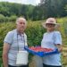 Berba maline u Osoju: Manji rod i neizvesne otkupne cene izazivaju brigu 4 Berba maline u Osoju: Manji rod i neizvesne otkupne cene izazivaju brigu
