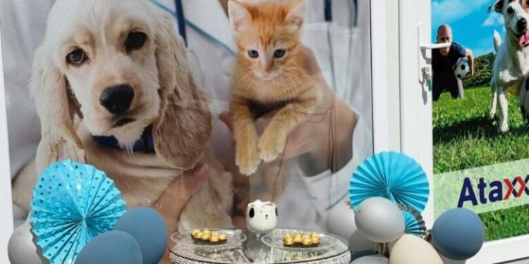 Otvorena veterinarska apoteka Zoohigijene u Čajetini: Briga za zdravlje vaših ljubimaca na dohvat ruke!